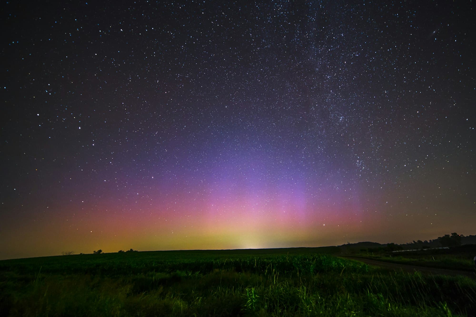 Northern lights over a dark grass field